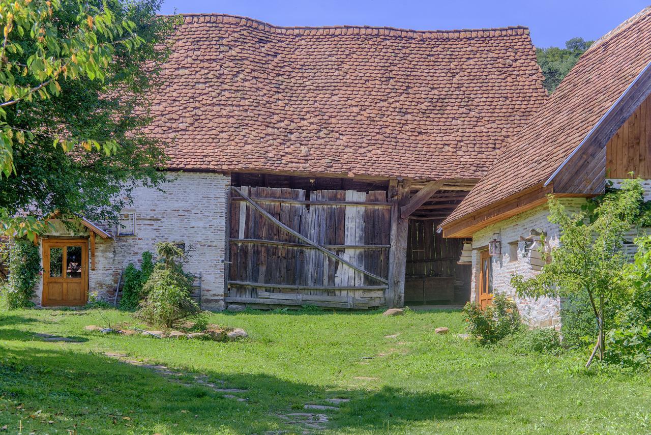 Dominic Boutique - Atelier Guest House Cloasterf Bagian luar foto